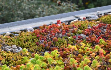 the cost of Fold Hill green roof installation
