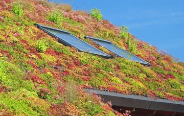 Fold Hill living roof systems