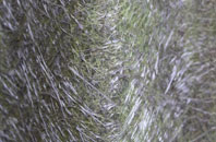 Fold Hill fibreglass roof work